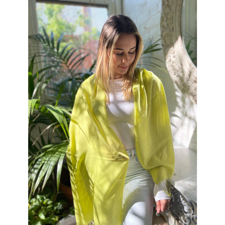 Scarves Australia Apparel & Accessories Pashmina Shawl -  Apple Green -  Lighter Weight