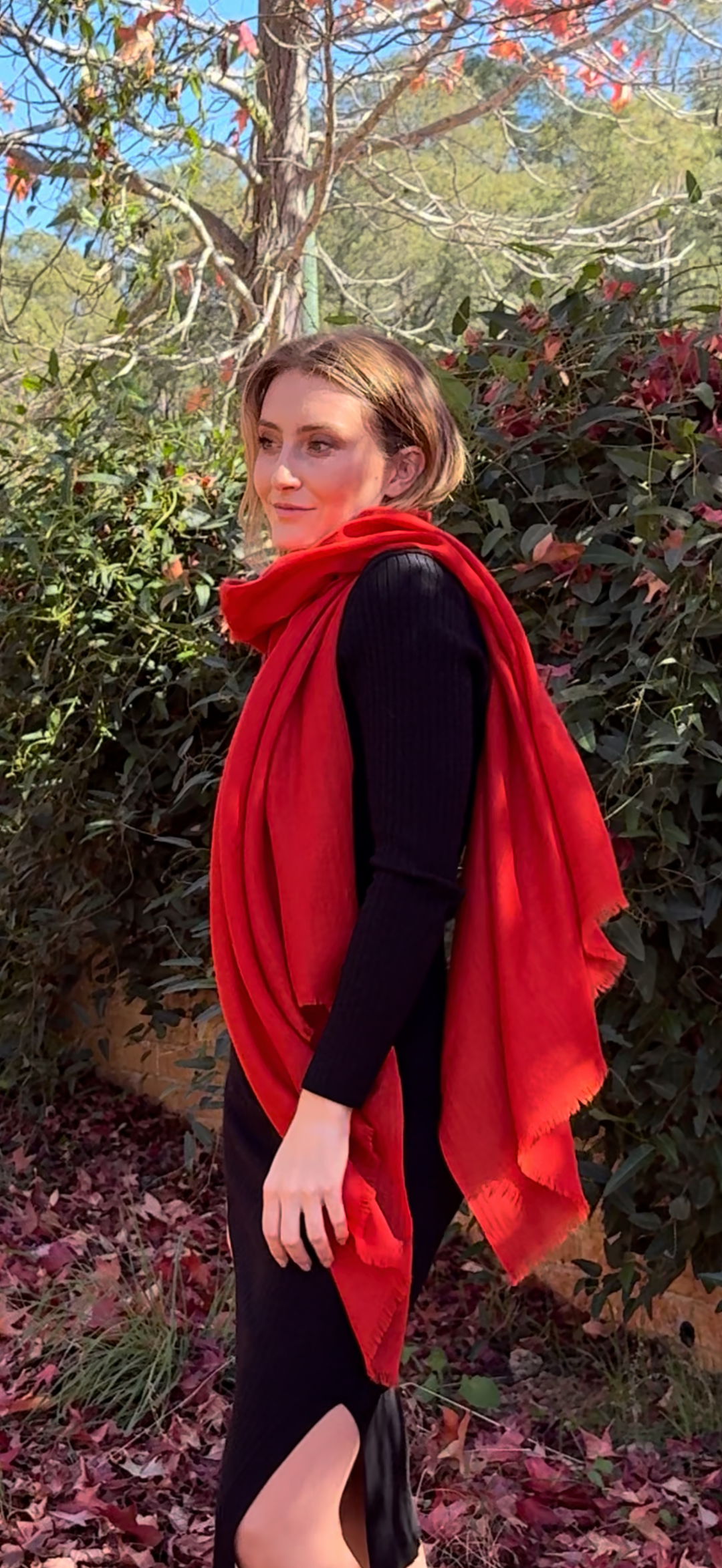Scarlet Red Cashmere Silk Luxury Shawl