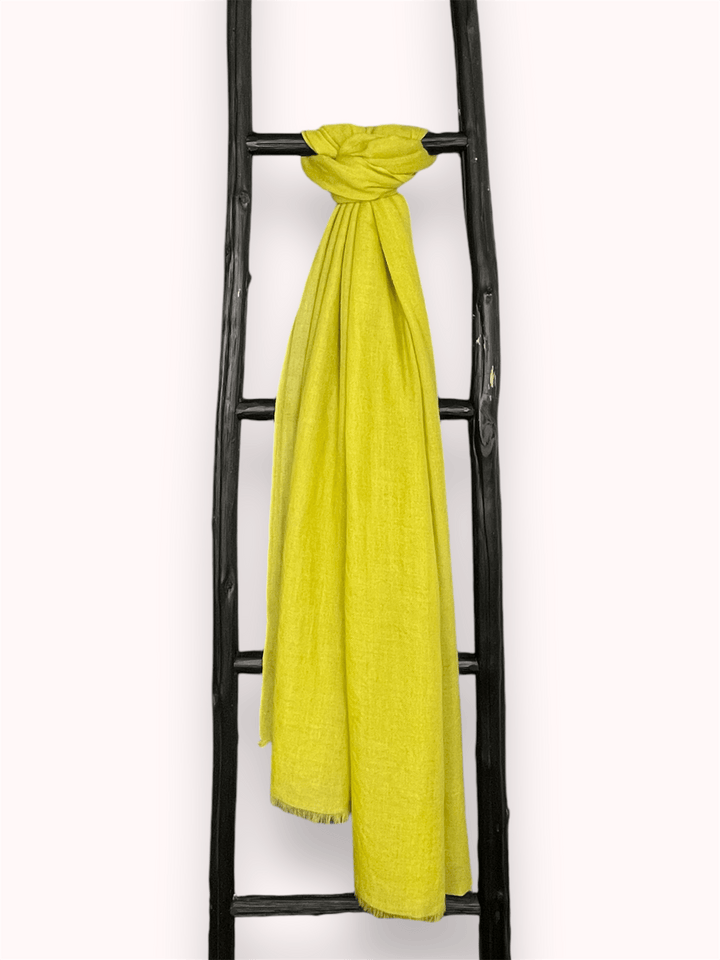 Scarves Australia Evening Shawls ✨ Luxury Shawl - Silk Cashmere - Key Lime